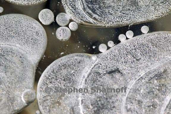 ice on stream 33 graphic